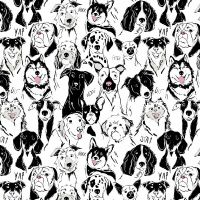 ttDOG-CD4850 WHITE